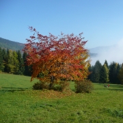 Pekařovské louky